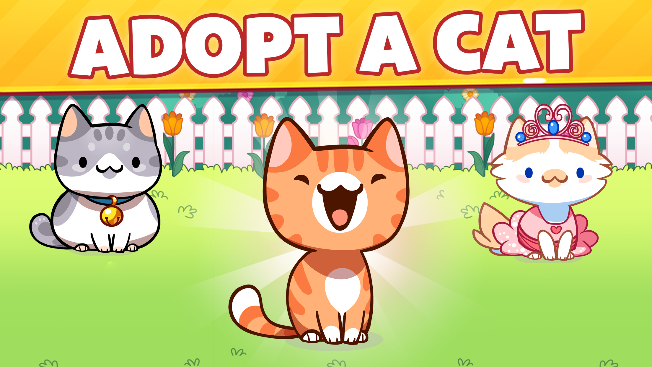 Adopt a Cat